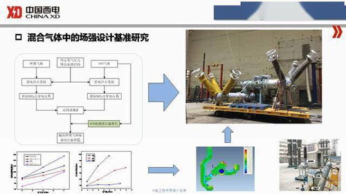 西開電氣技術(shù)中心成勇主任 sf6替代氣體開關(guān)設(shè)備研發(fā)